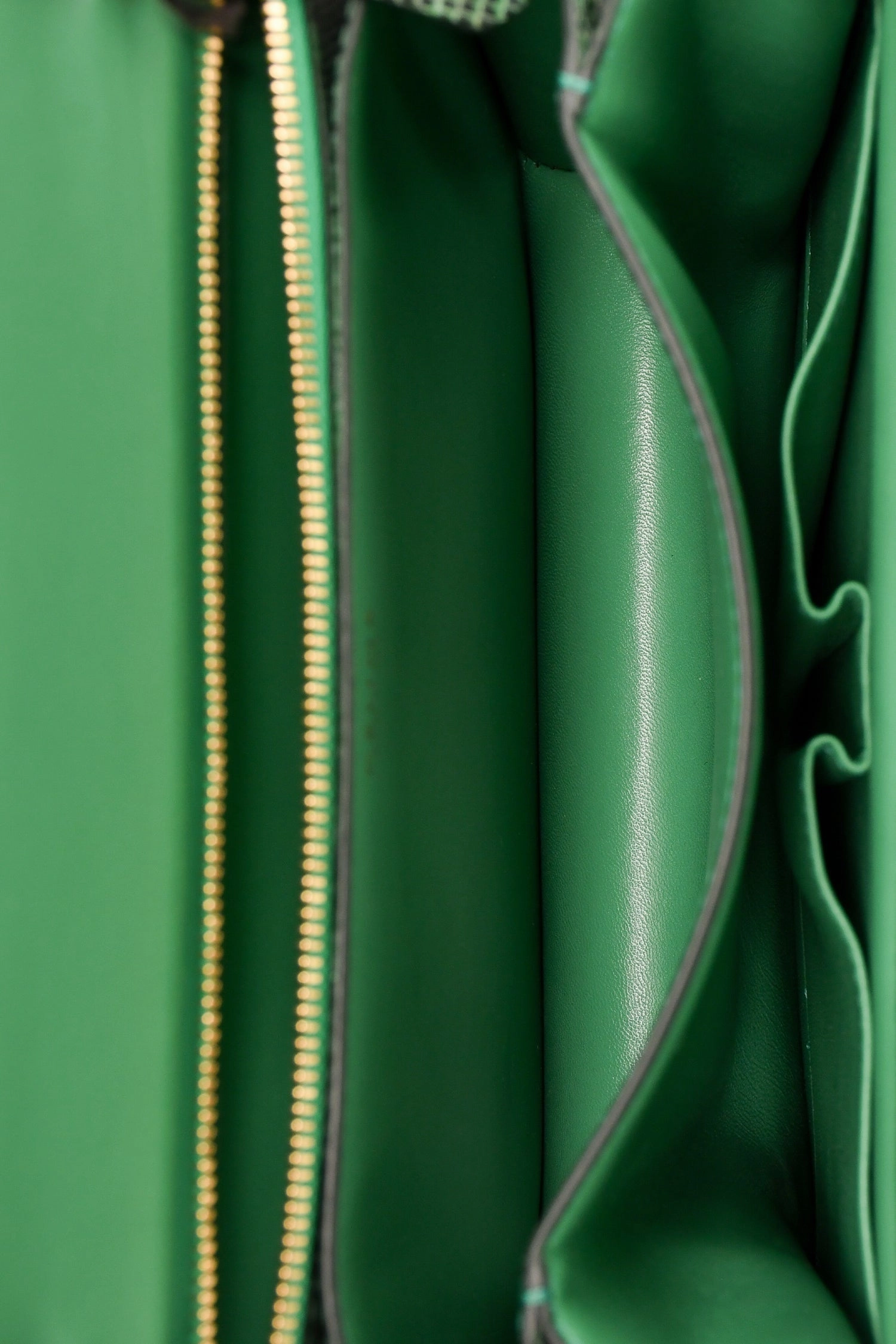 Celine Green Lizard Medium Box Bag