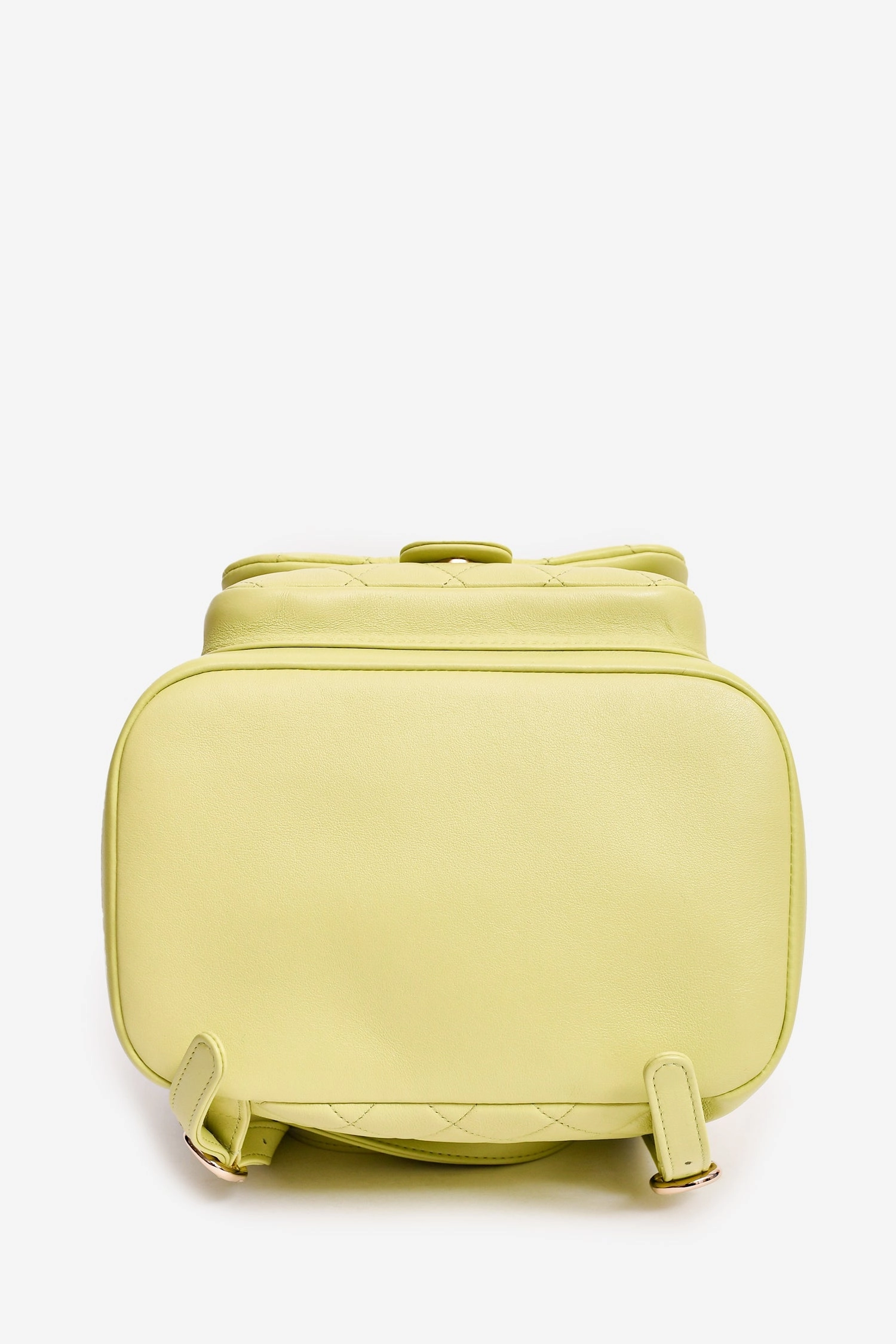Chanel Mint Green Lambskin Small GHW Duma Backpack