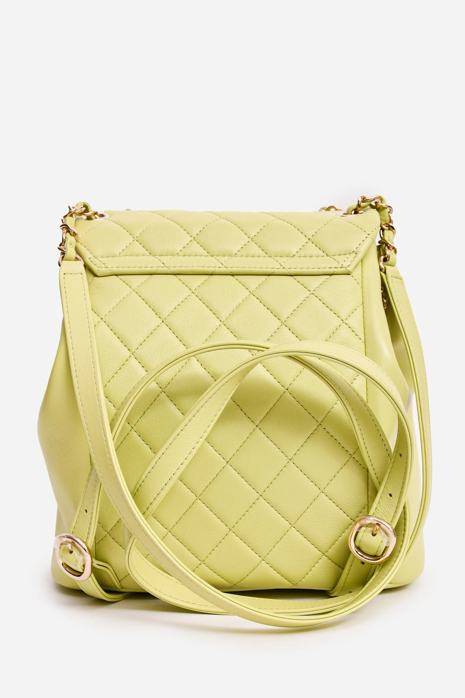 Chanel Mint Green Lambskin Small GHW Duma Backpack