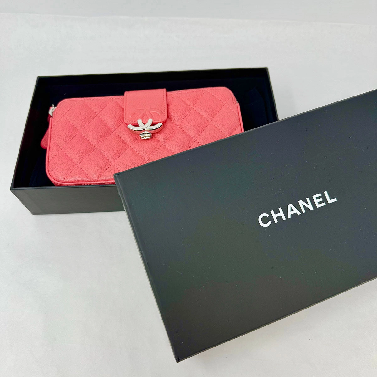 Chanel Quilted Double Zip Clutch on Chain