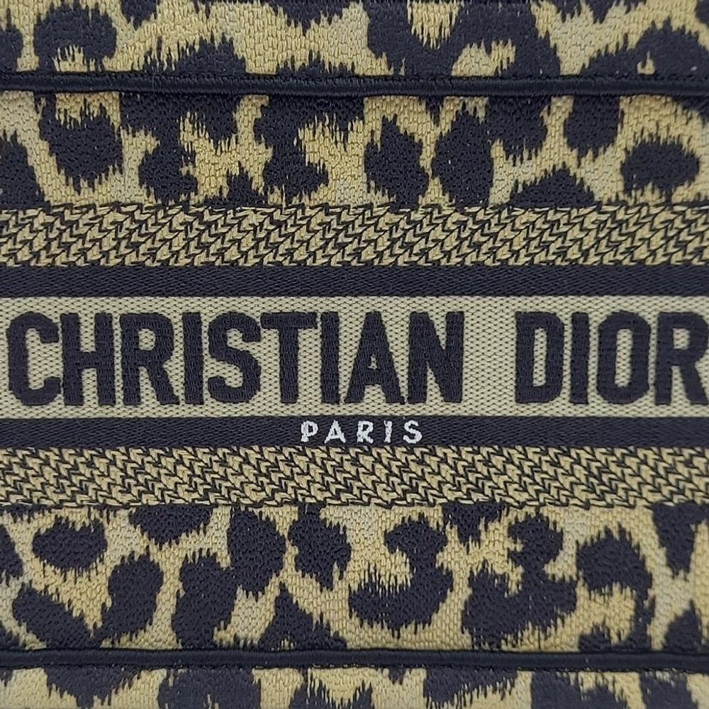 Christian Dior Book Tote Bag Mini