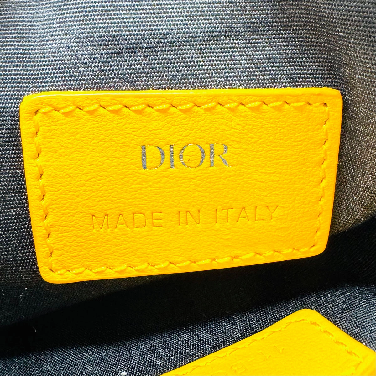 Christian Dior World Tour Crossbody