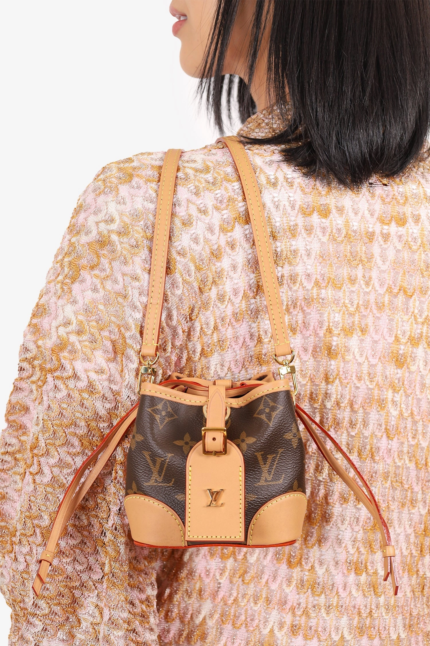Louis Vuitton 2020 Monogram No Purse