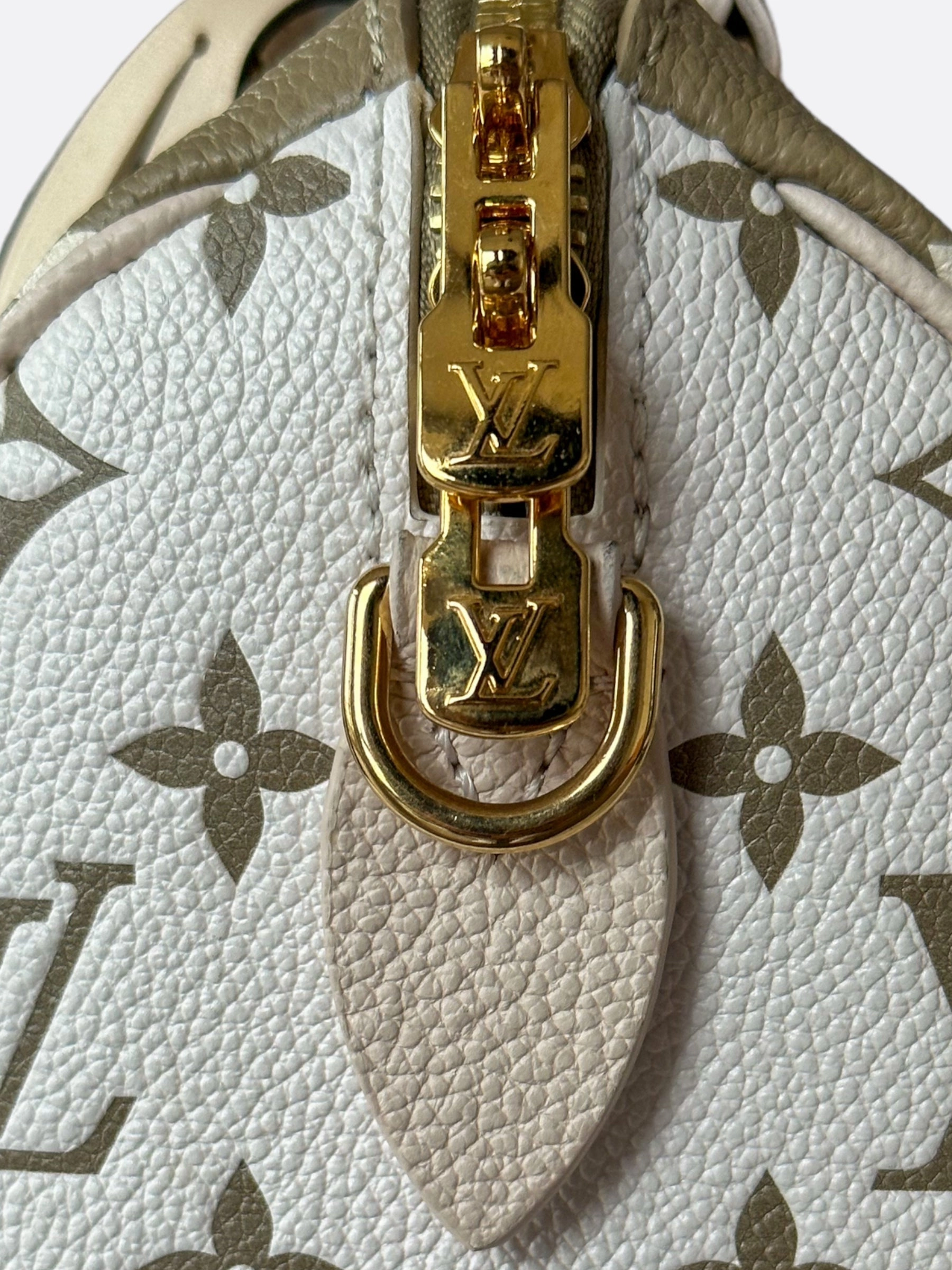 Louis Vuitton Green & Beige Empreinte Monogram Speedy 20