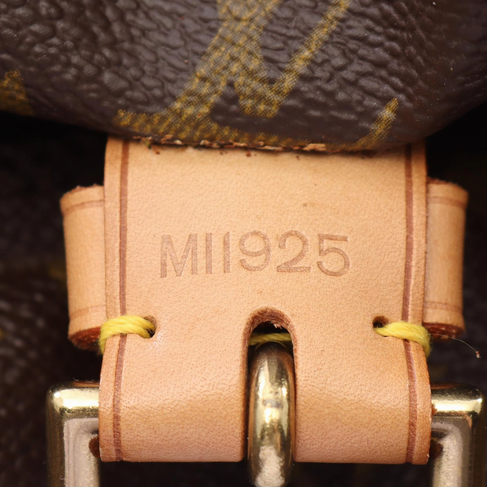 Louis Vuitton Monogram Montsouris GM Backpack