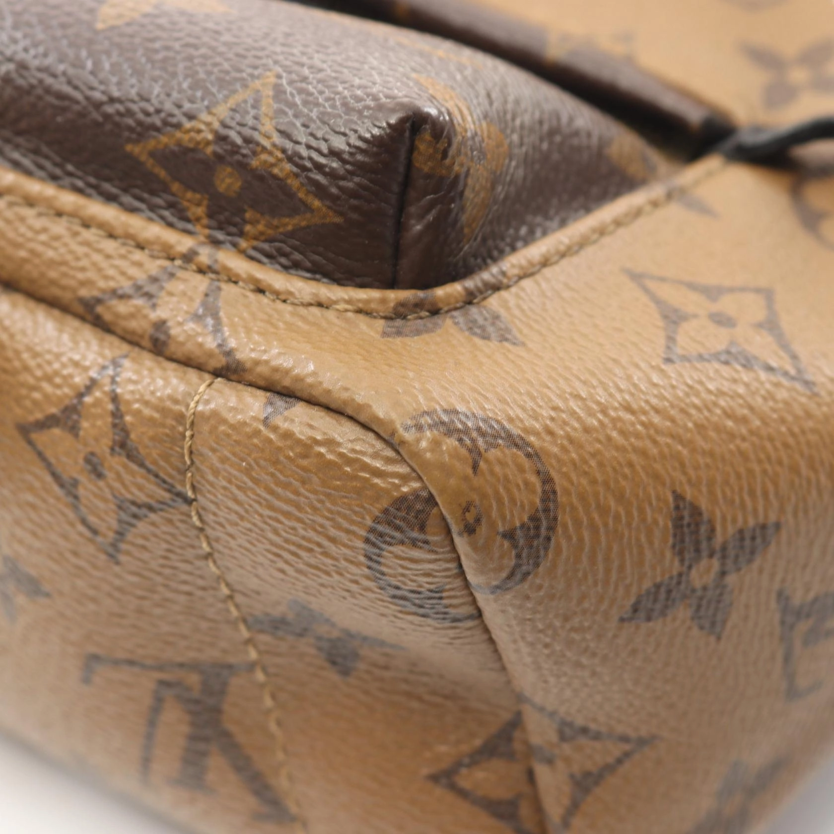 Louis Vuitton Palm Springs Mini Backpack