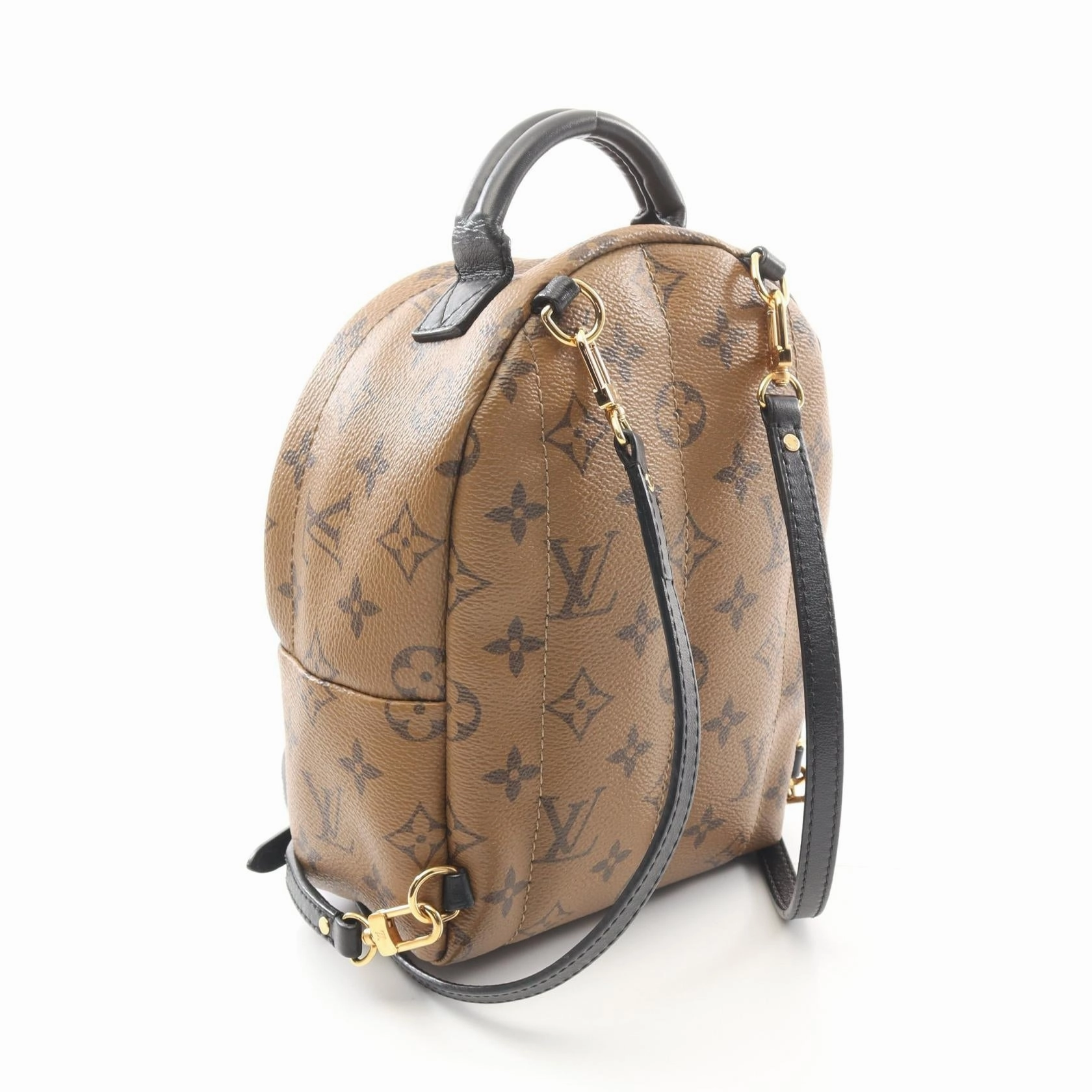 Louis Vuitton Palm Springs Mini Backpack