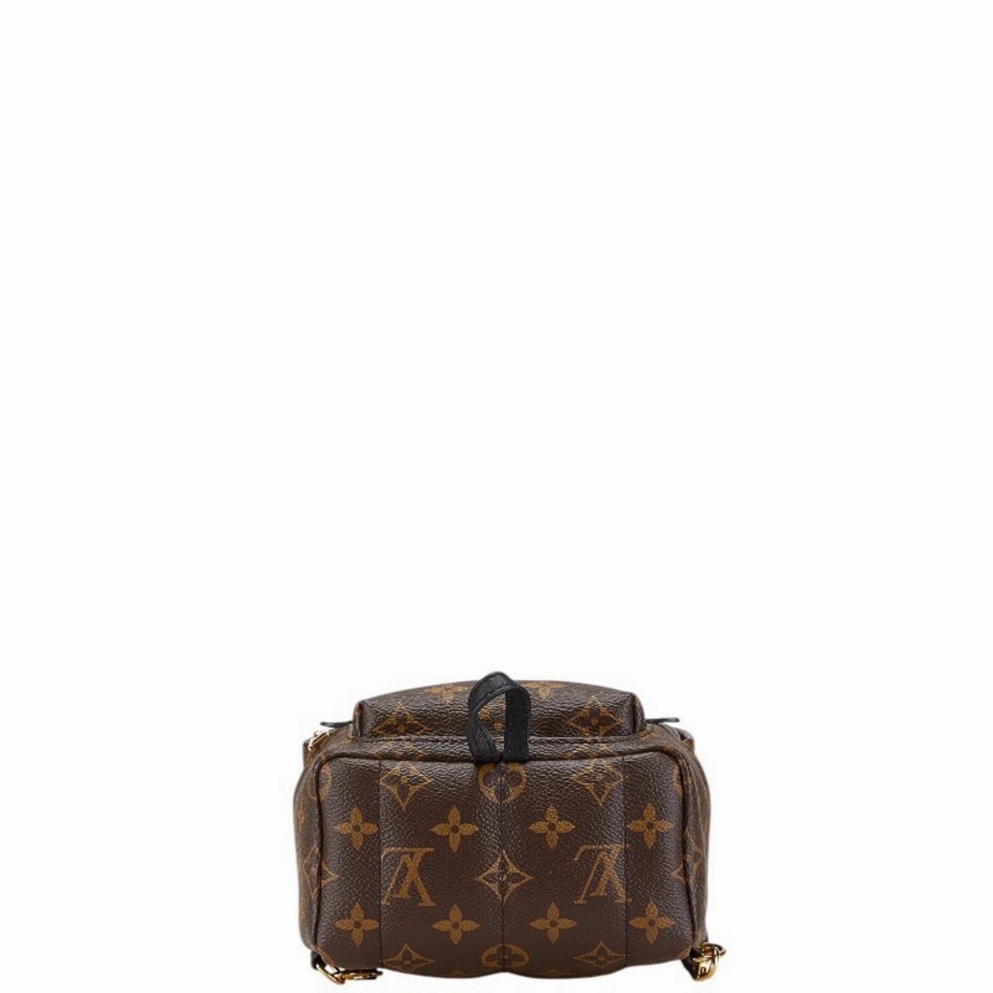 Louis Vuitton  Pvc Leather Backpack (Pre-Owned)