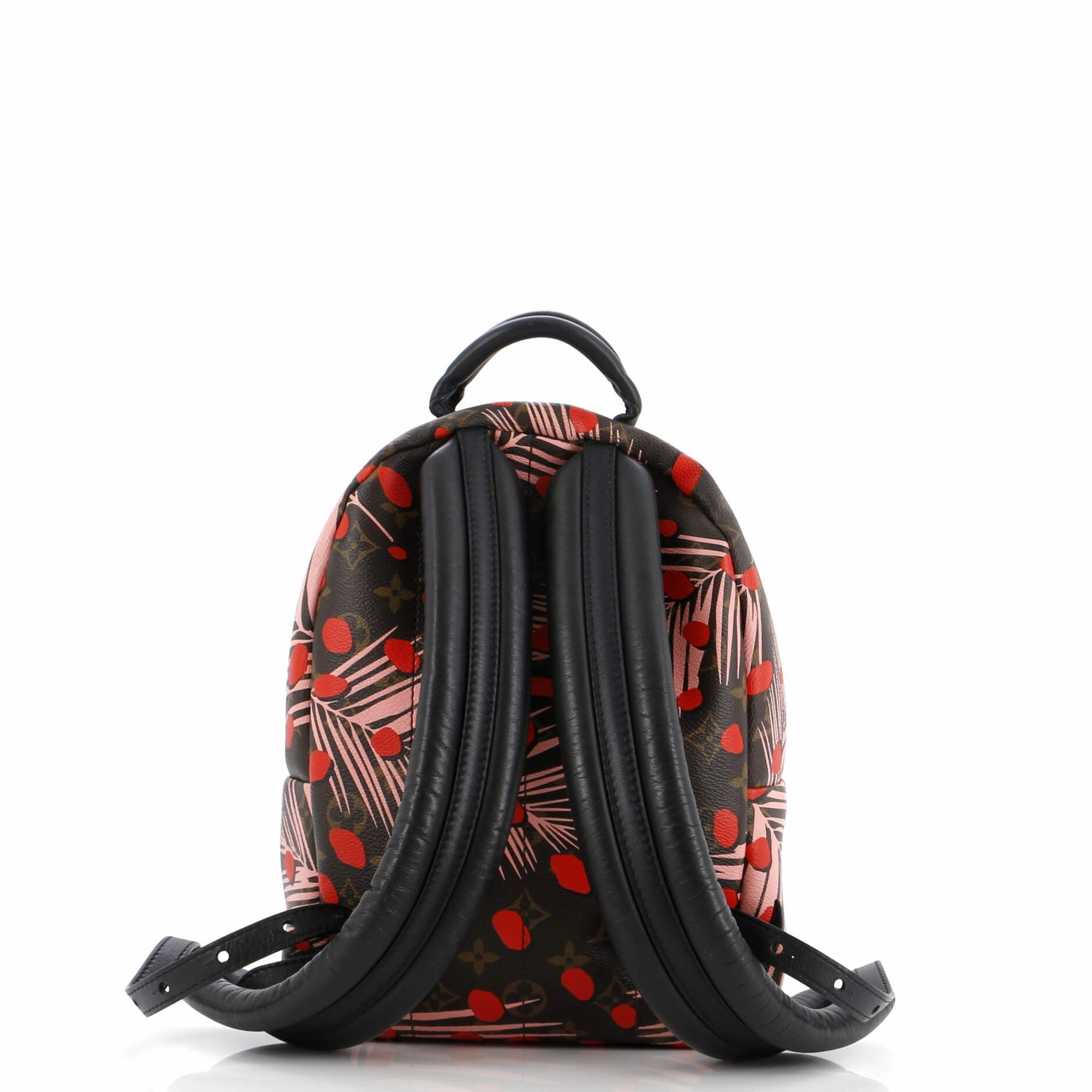 Palm Springs Backpack Limited Edition Monogram Jungle Dots PM