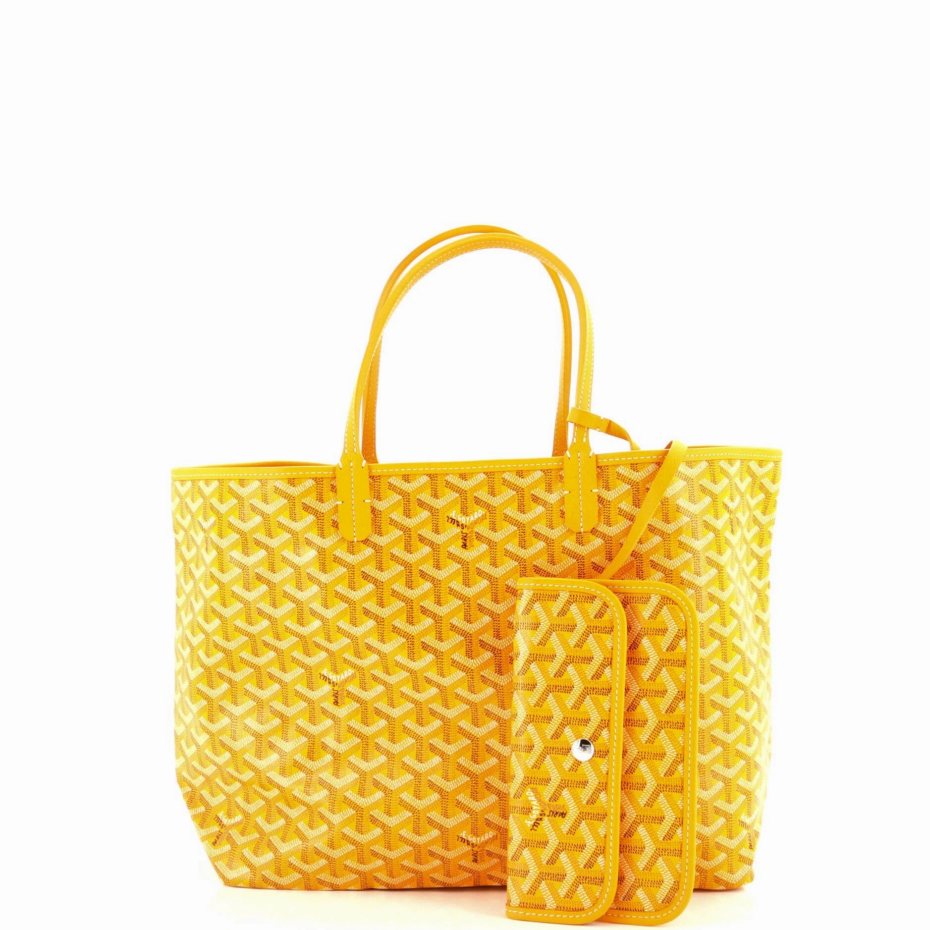 Saint Louis Tote Coated Canvas PM