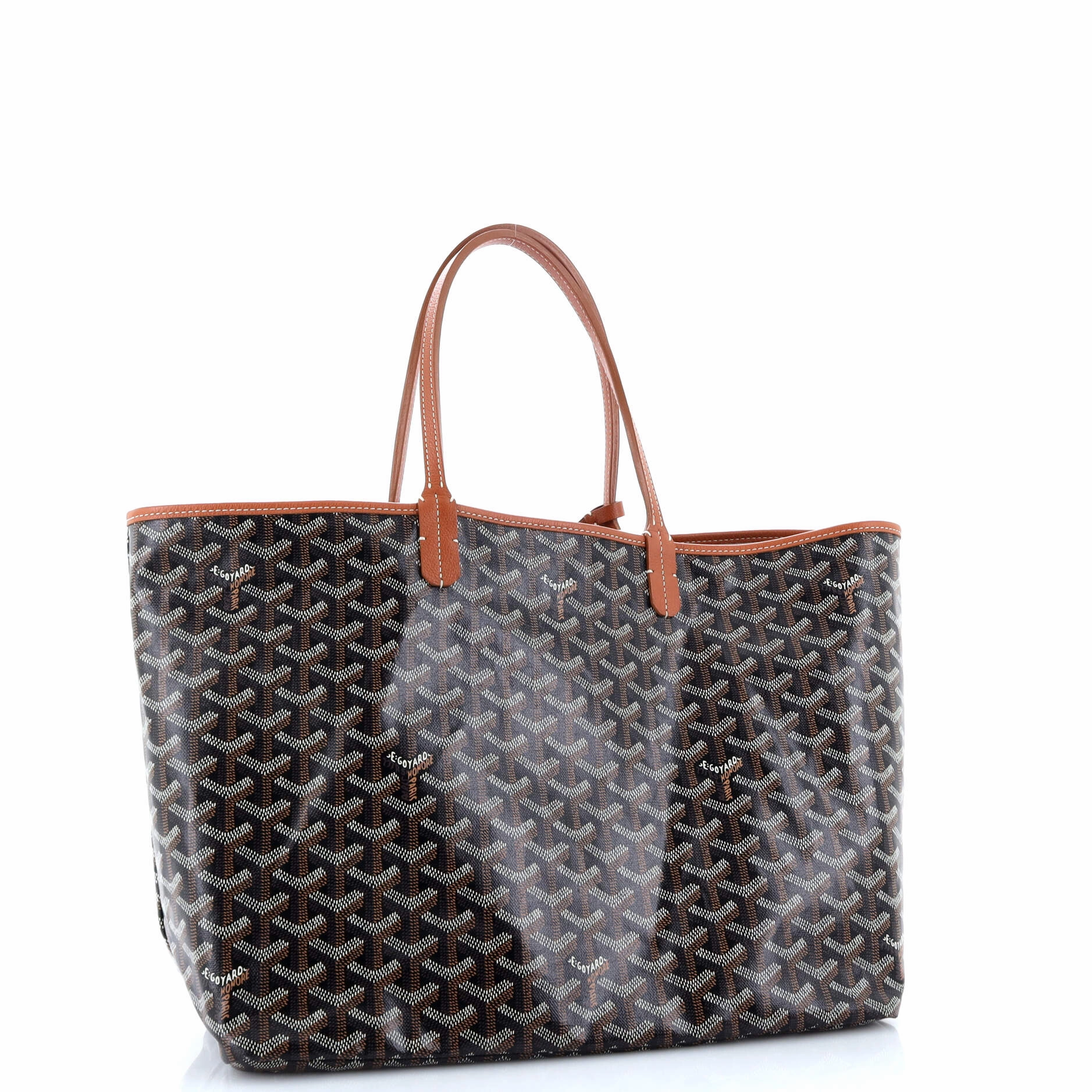 Saint Louis Tote Coated Canvas PM