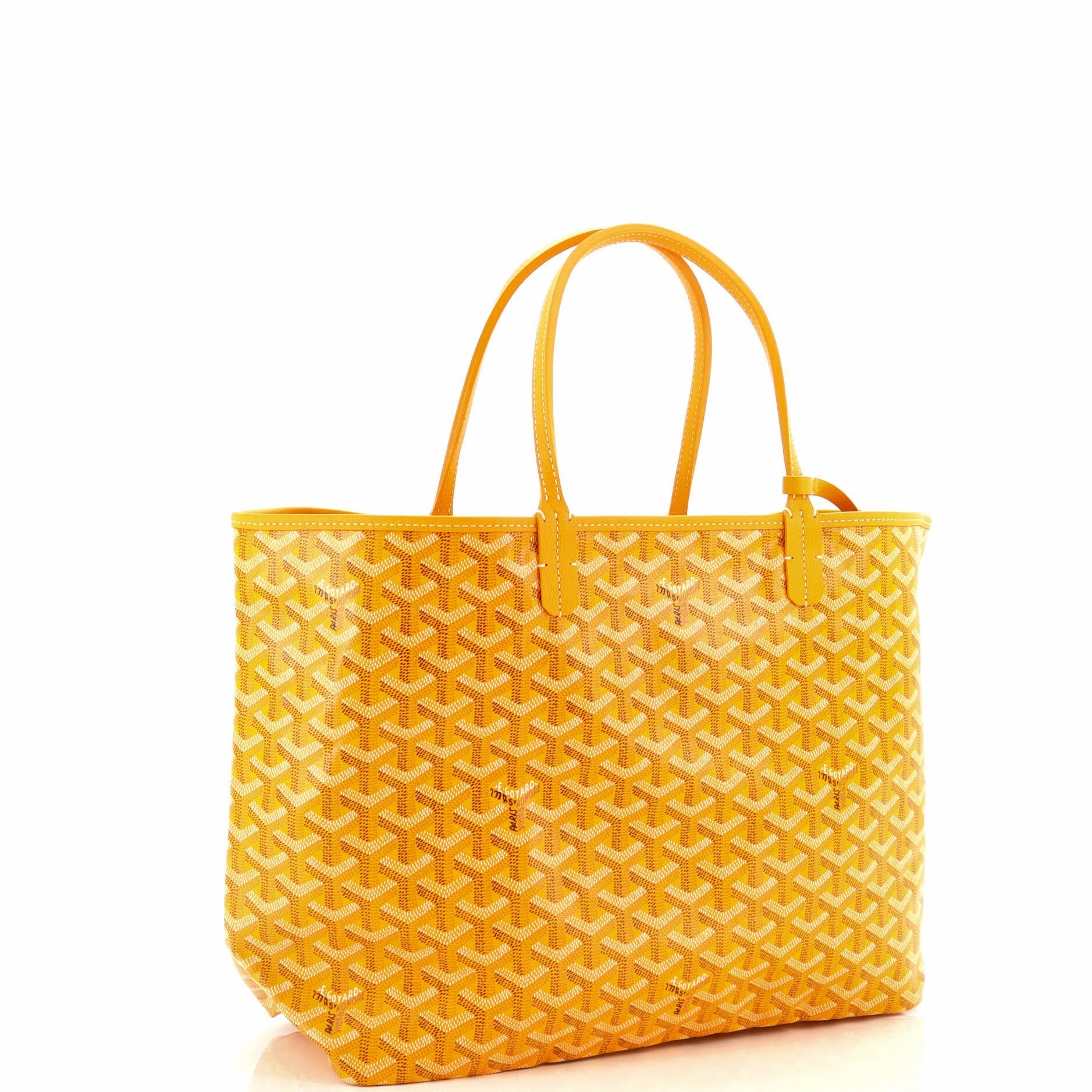 Saint Louis Tote Coated Canvas PM