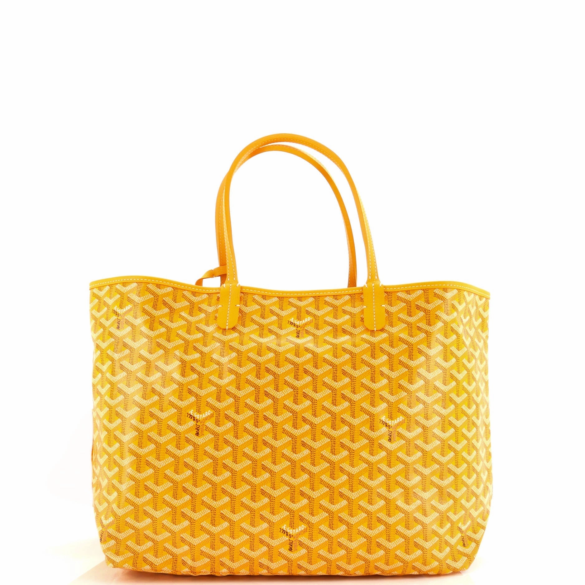 Saint Louis Tote Coated Canvas PM