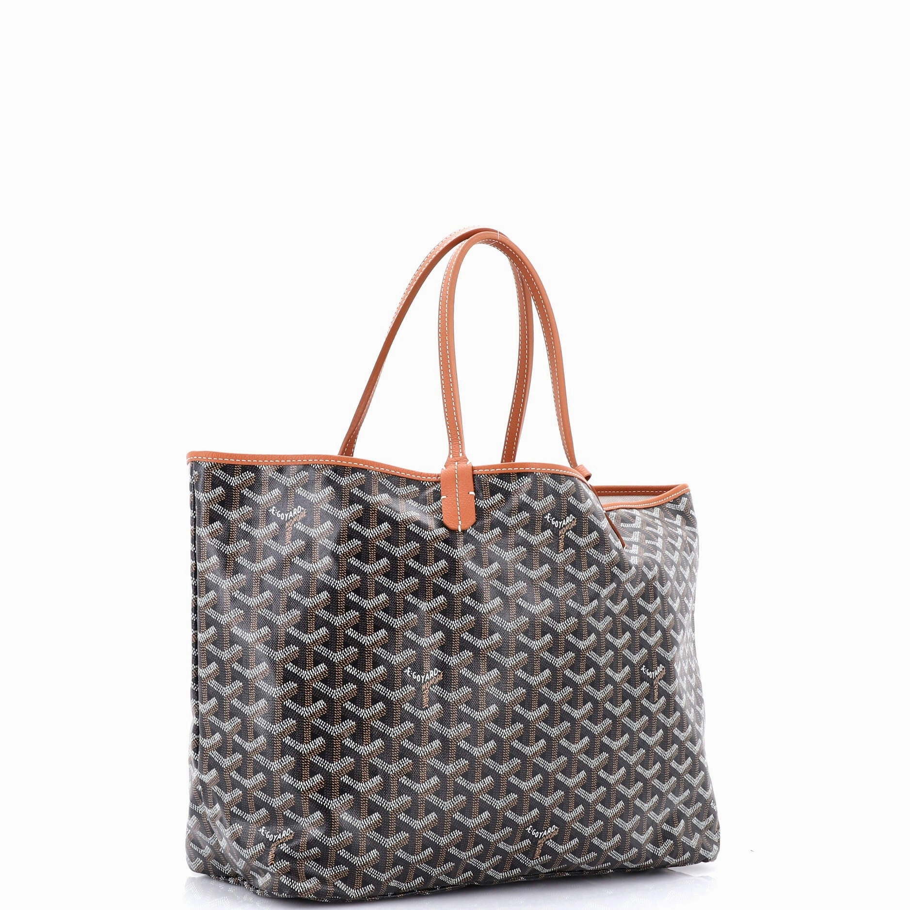 Saint Louis Tote Coated Canvas PM