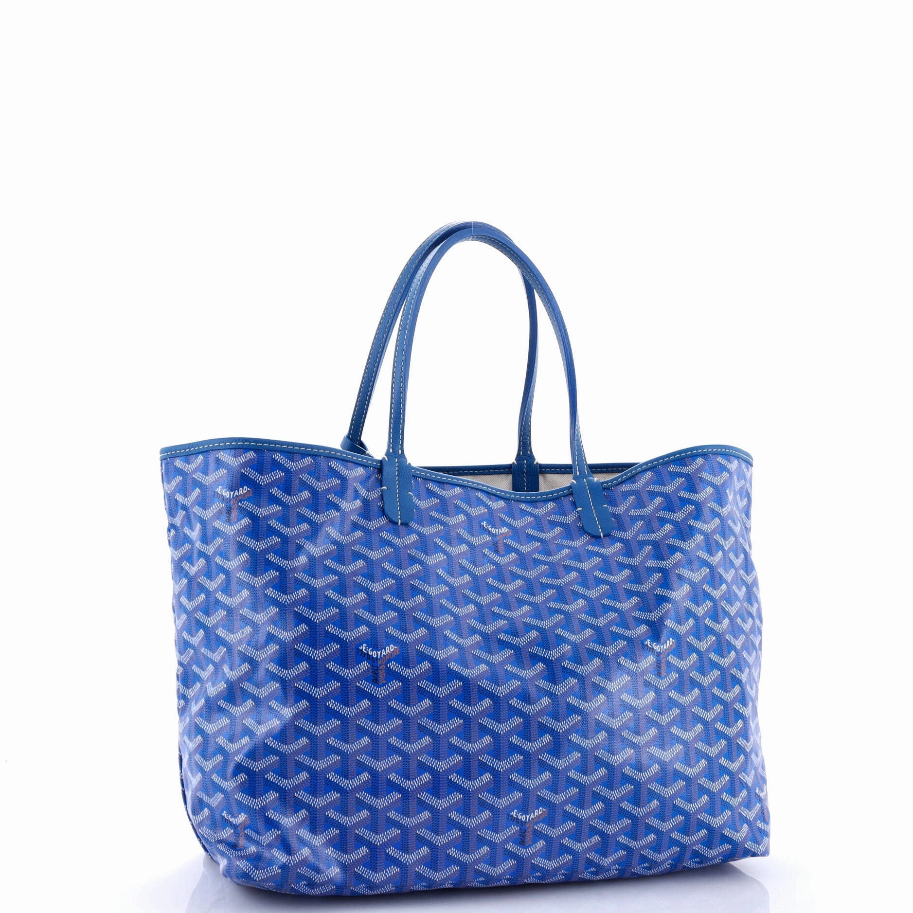 Saint Louis Tote Coated Canvas PM