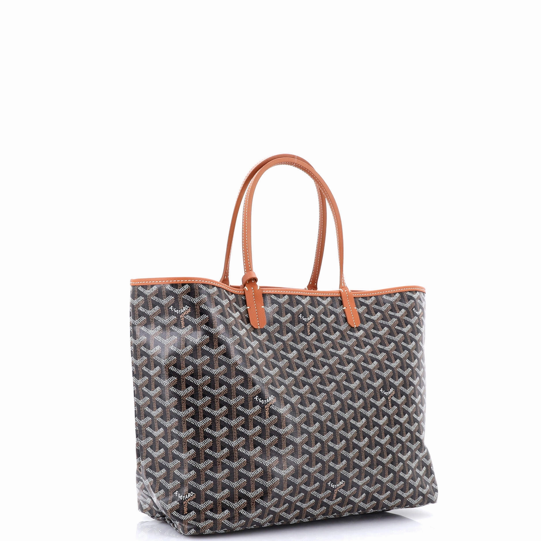 Saint Louis Tote Coated Canvas PM