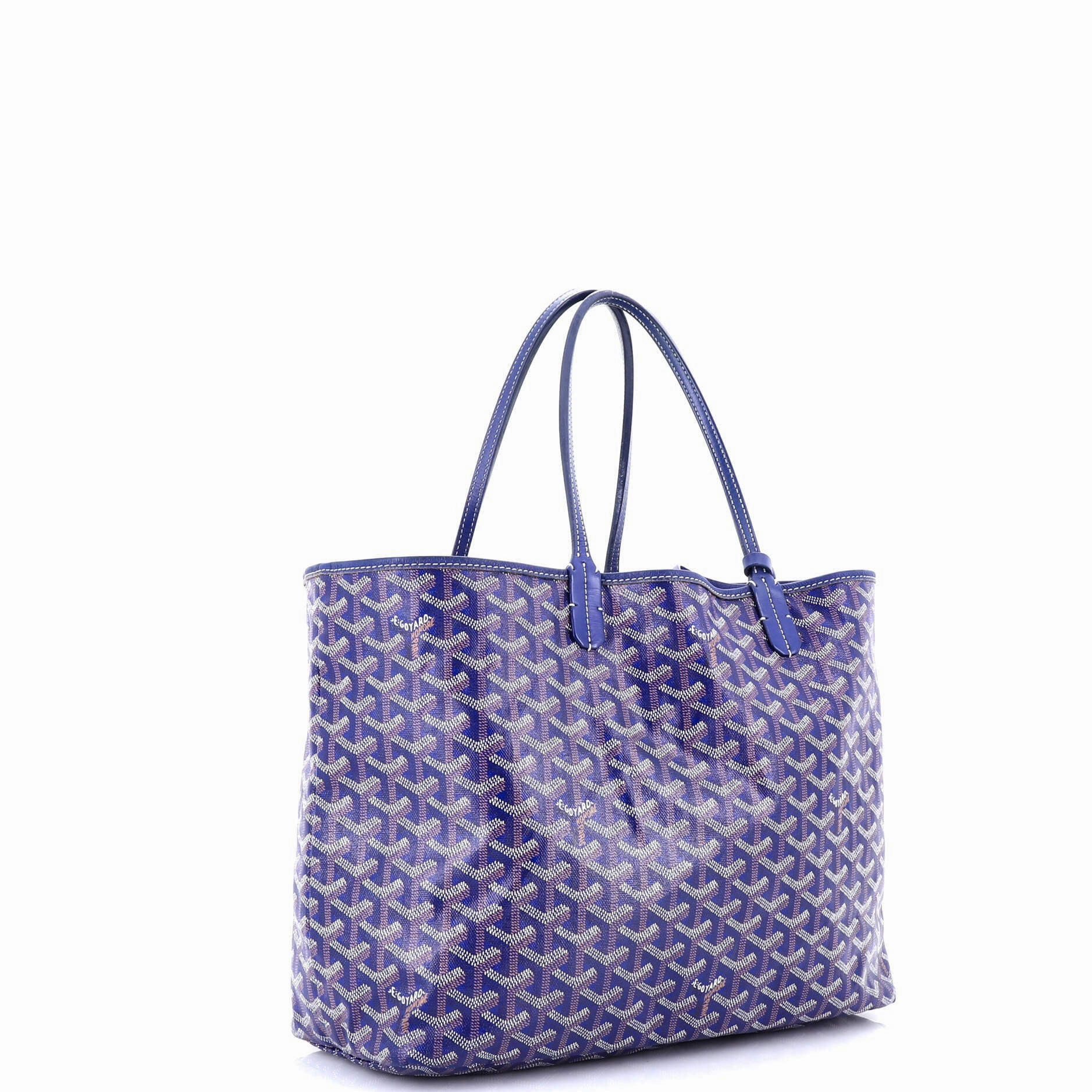 Saint Louis Tote Coated Canvas PM