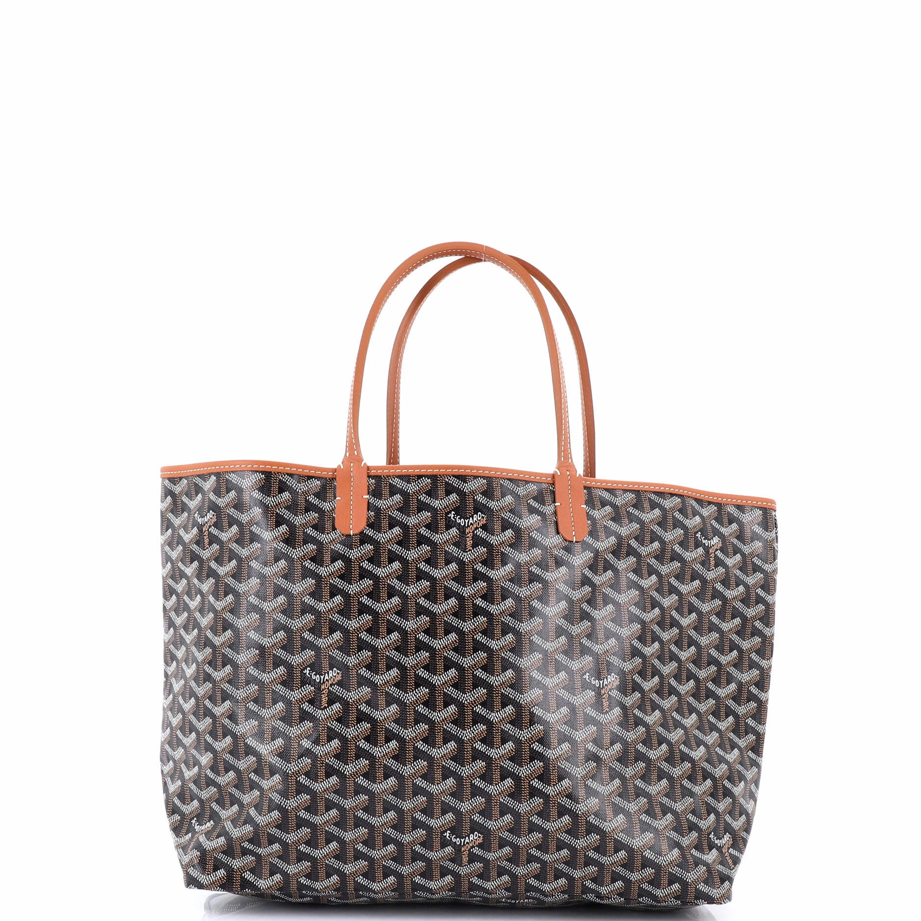 Saint Louis Tote Coated Canvas PM