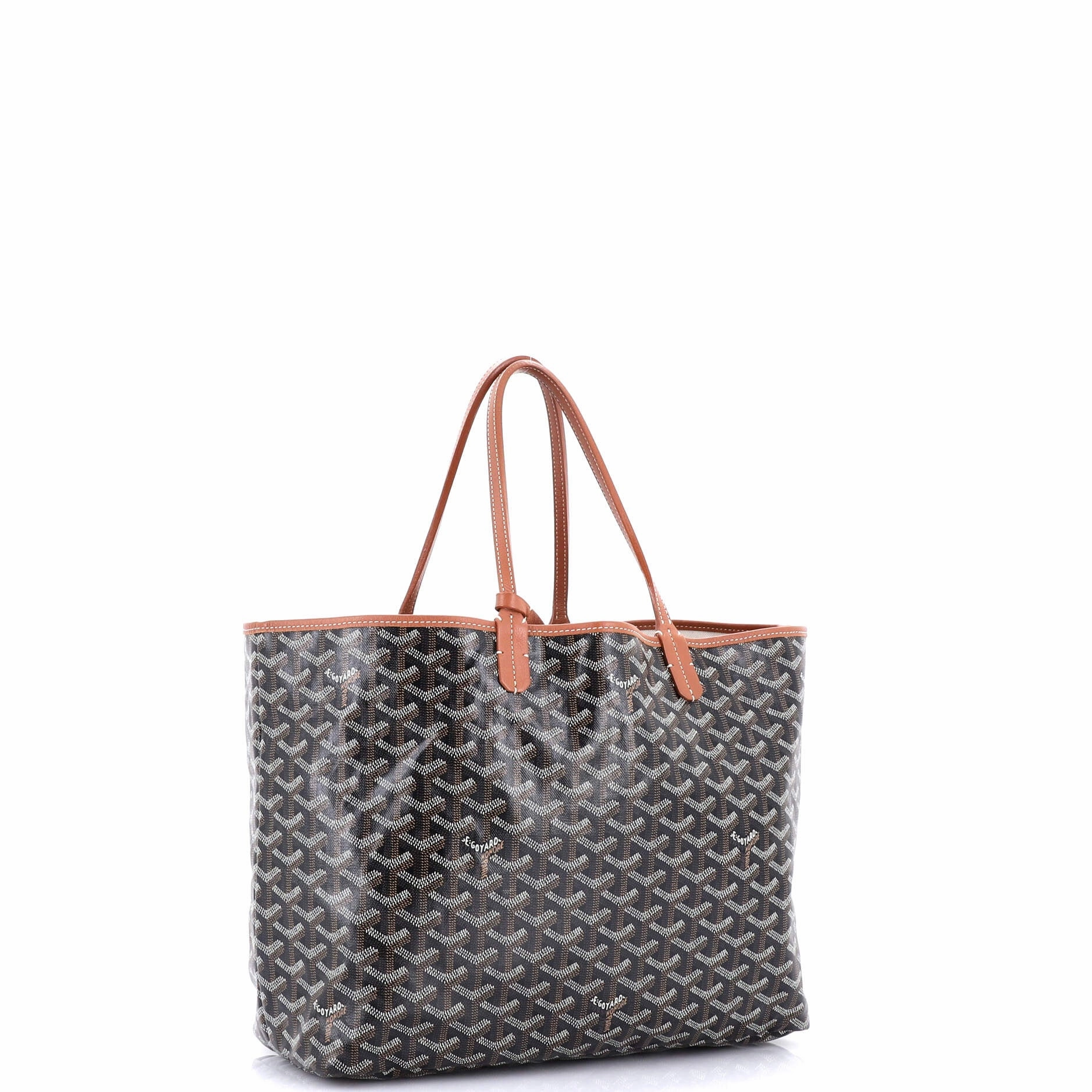 Saint Louis Tote Coated Canvas PM