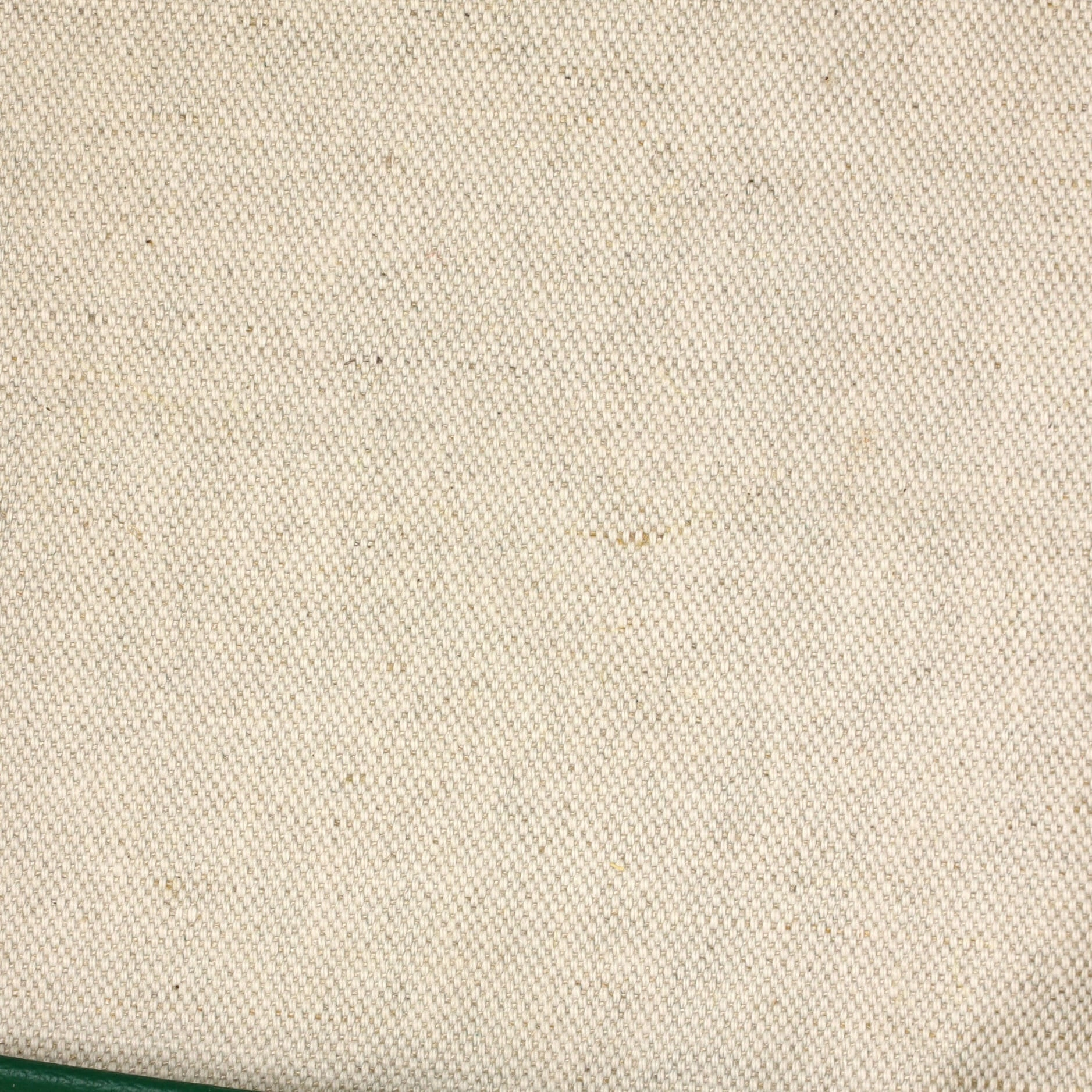Saint Louis Tote Coated Canvas PM