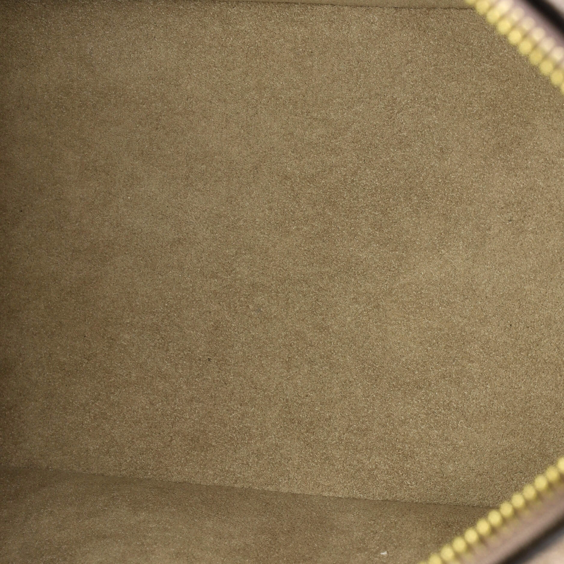 Speedy Bandouliere Bag Monogram Empreinte Giant 25